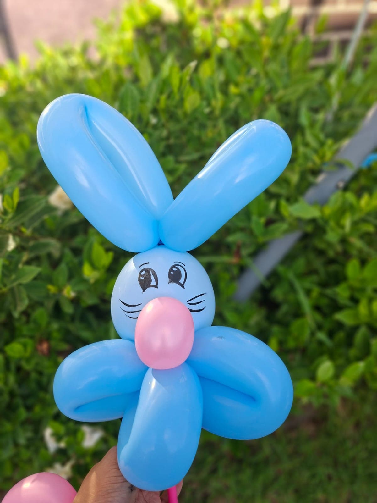 Balloon Install Energy